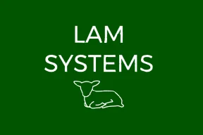Logo van Lam Systems